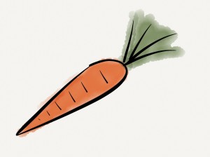 carrot